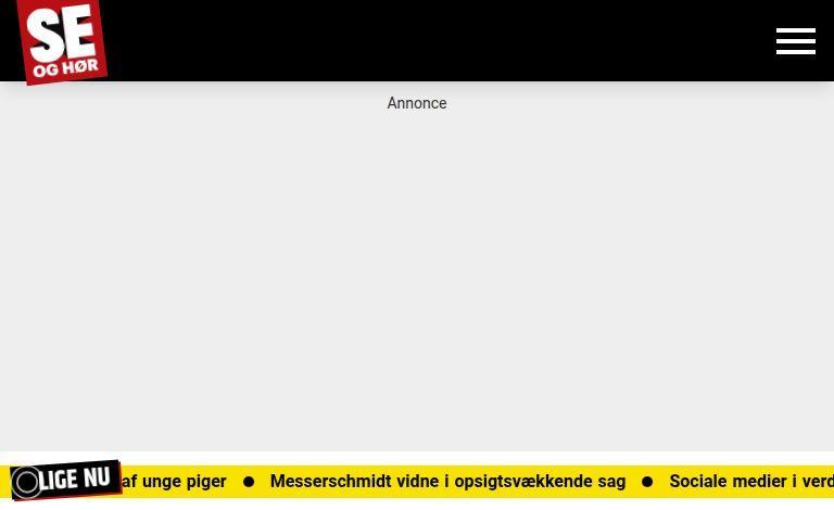Seoghoer.dk/Det-Fraekke: A Website Authority Study